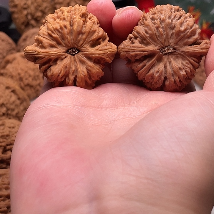 浩***生物美价廉物美价廉 