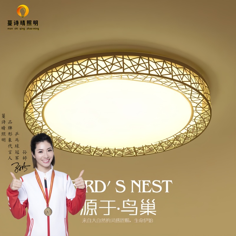 蔓诗晴灯具灯饰2023最新款鸟巢吸顶灯卧室灯家用圆形走廊钻石星空