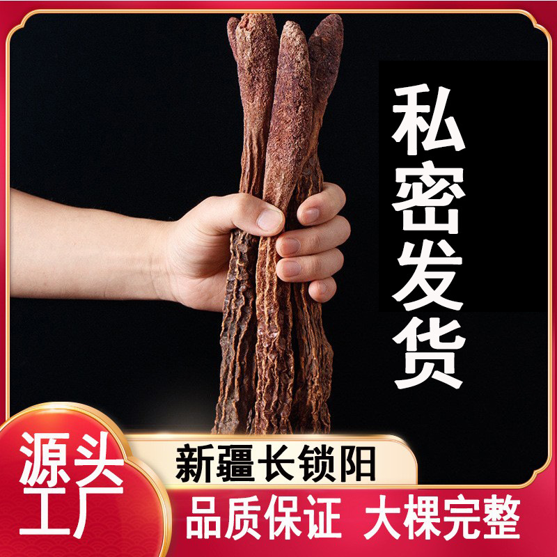 【至尊宝】内蒙古，锁阳