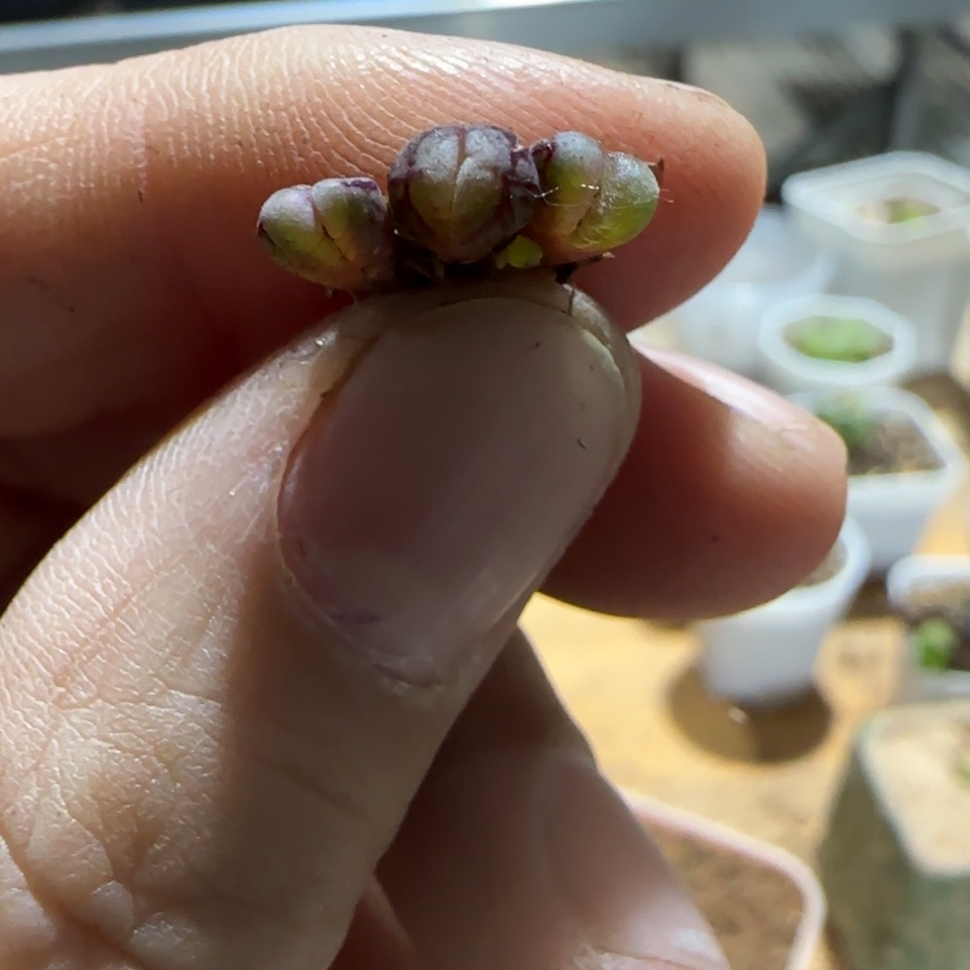 人**缘9-538p p p p p p p