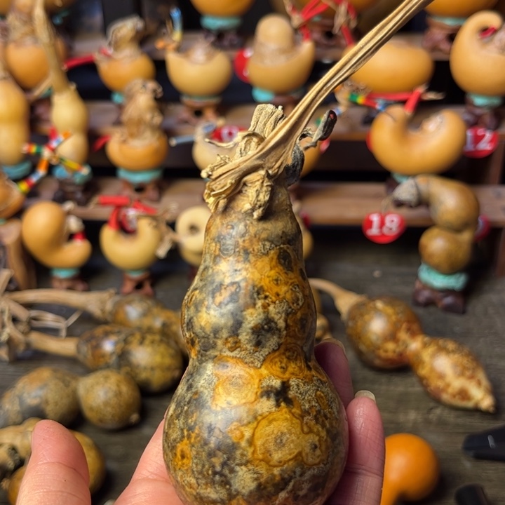 不***仒花皮葫芦天天开心