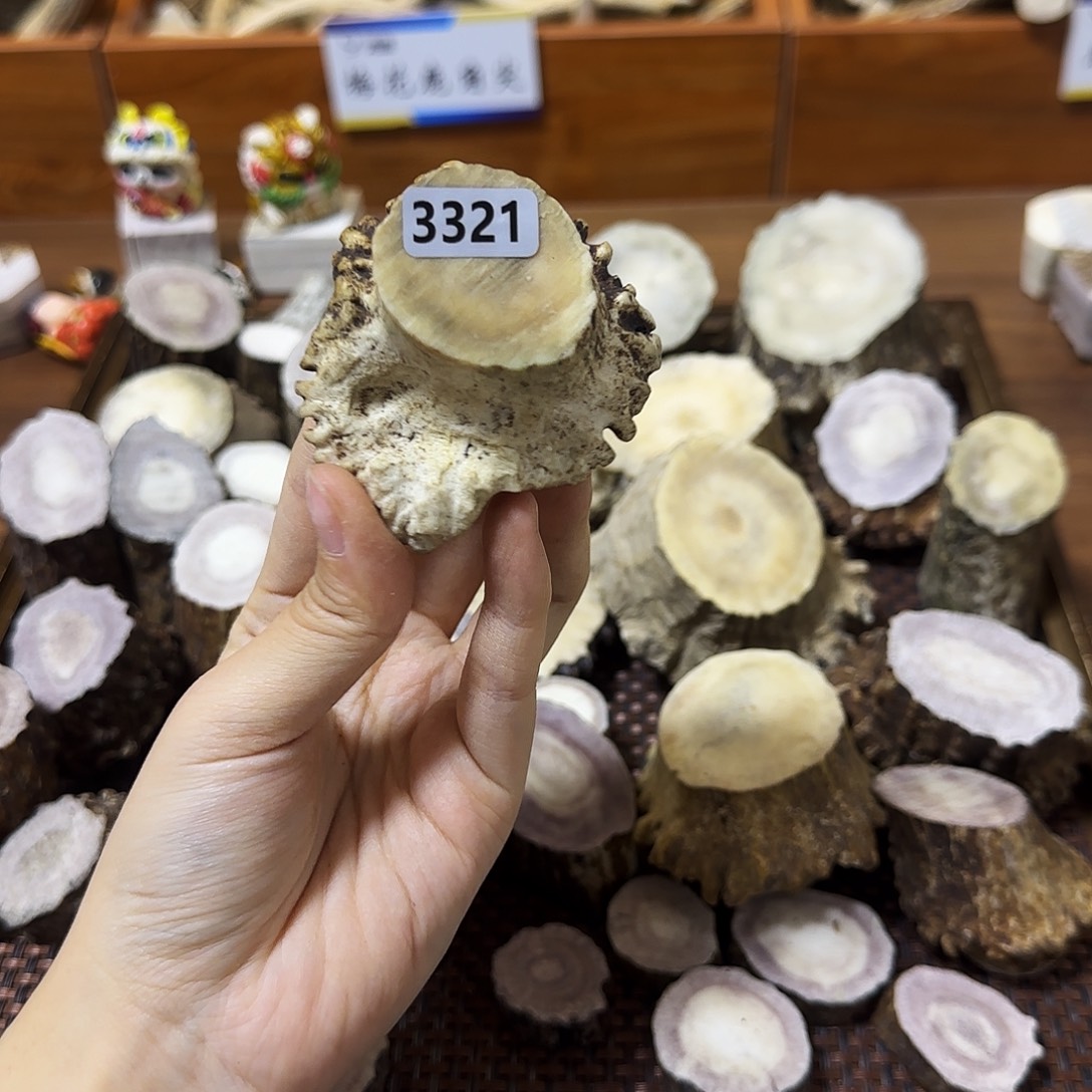 鹿骨手串/手链3321角帽