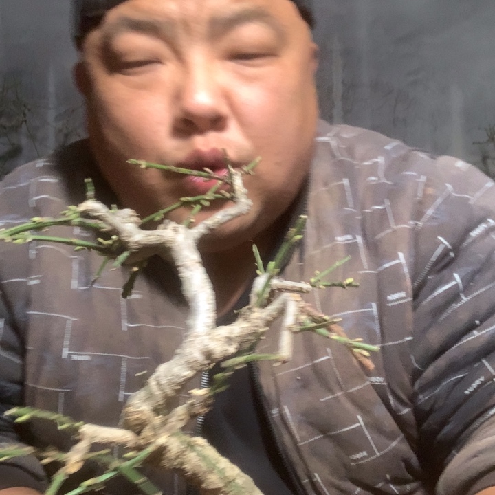 无花朵结缘田一下就像在吃