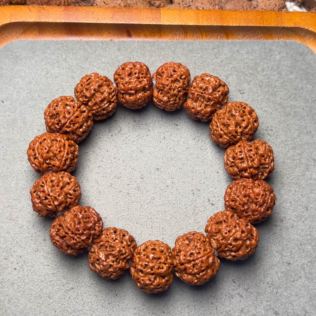 菩提23号金刚菩提原生态梅花23