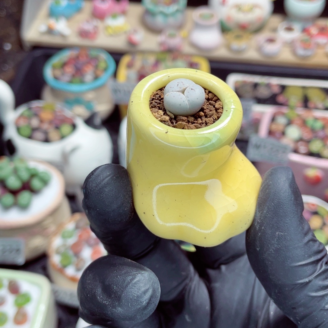 夜间零下地区拍保温箱w1240