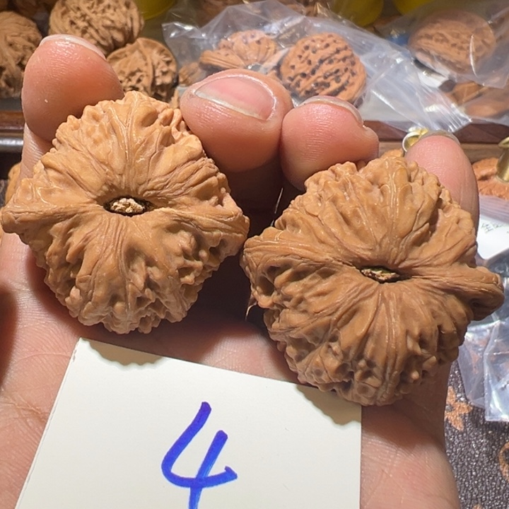 核桃全品无修泥鳅背