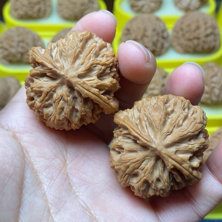 文玩核桃苹果园40