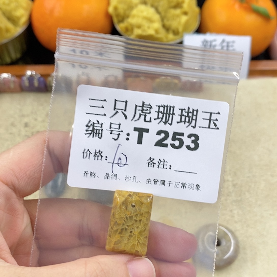 硅化珊瑚（珊瑚玉）1未镶嵌没****水