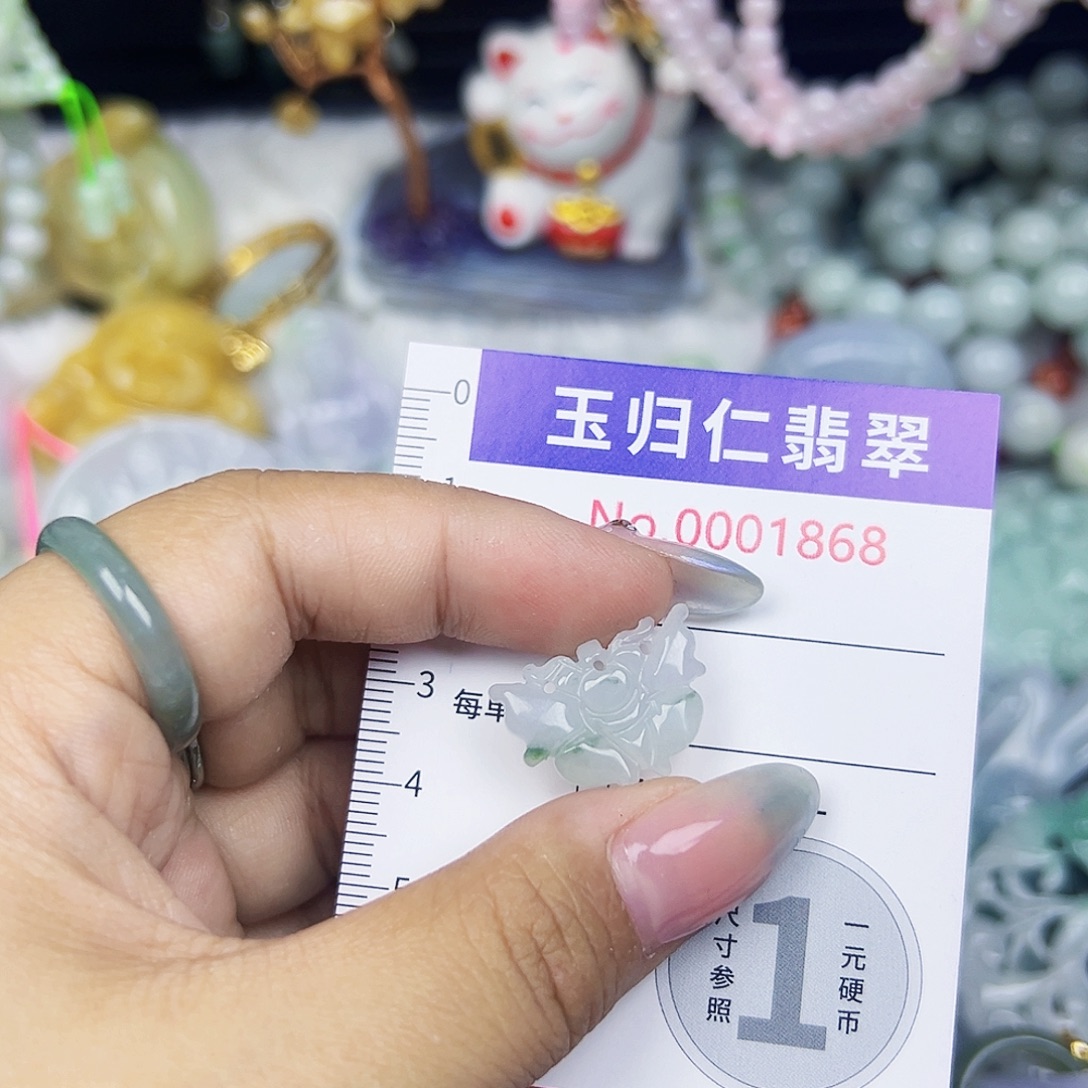 翡翠未镶嵌颈饰Qqq