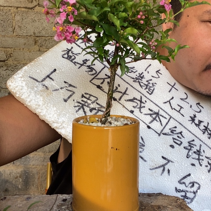 退款拉黑一物一拍60