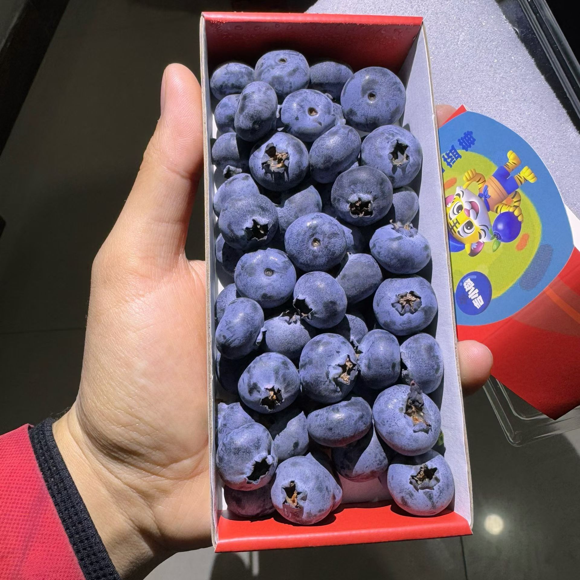 【花香蓝莓】L25花香蓝莓云南蓝莓纯甜无酸18mm云南省