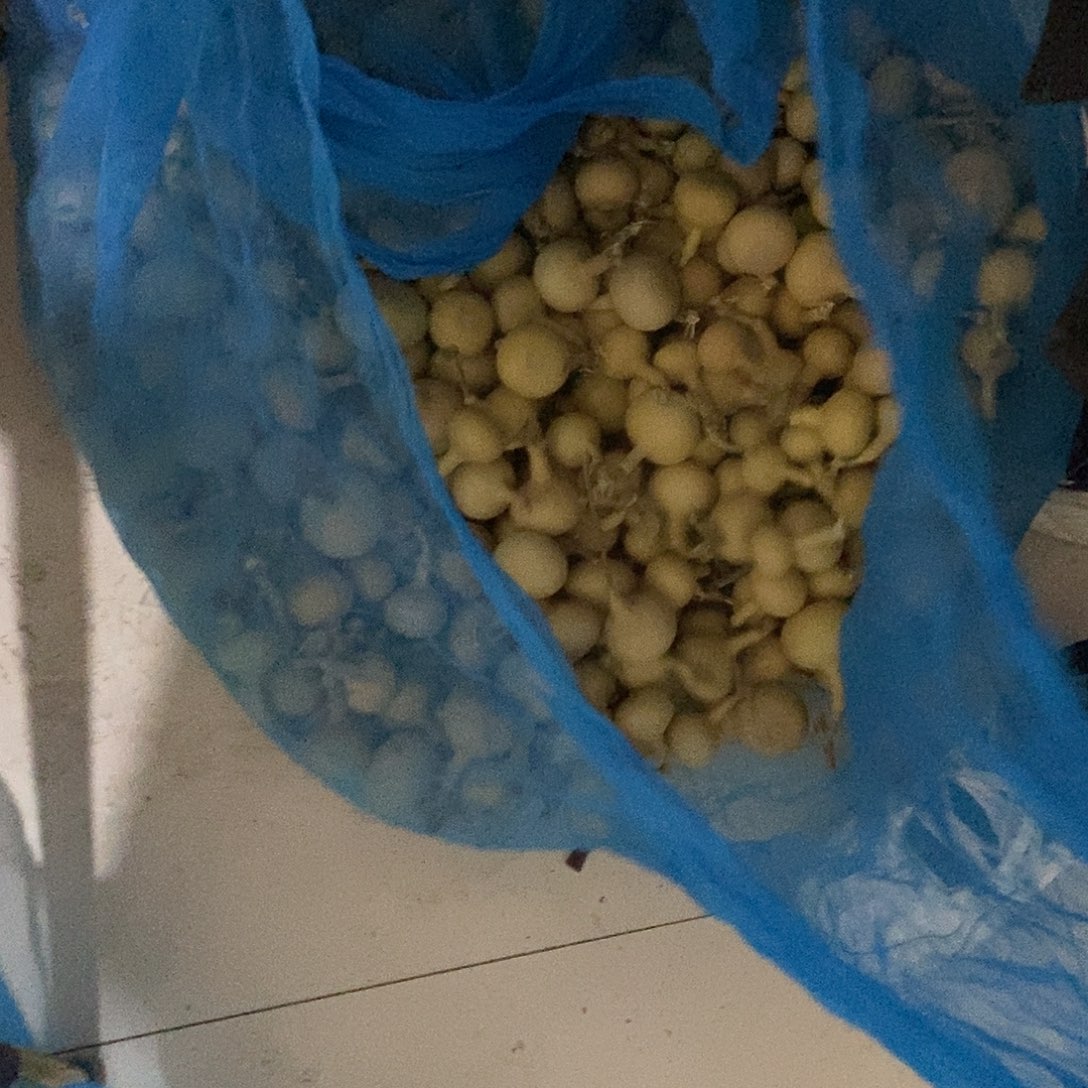 KTV他分析与他摁一下