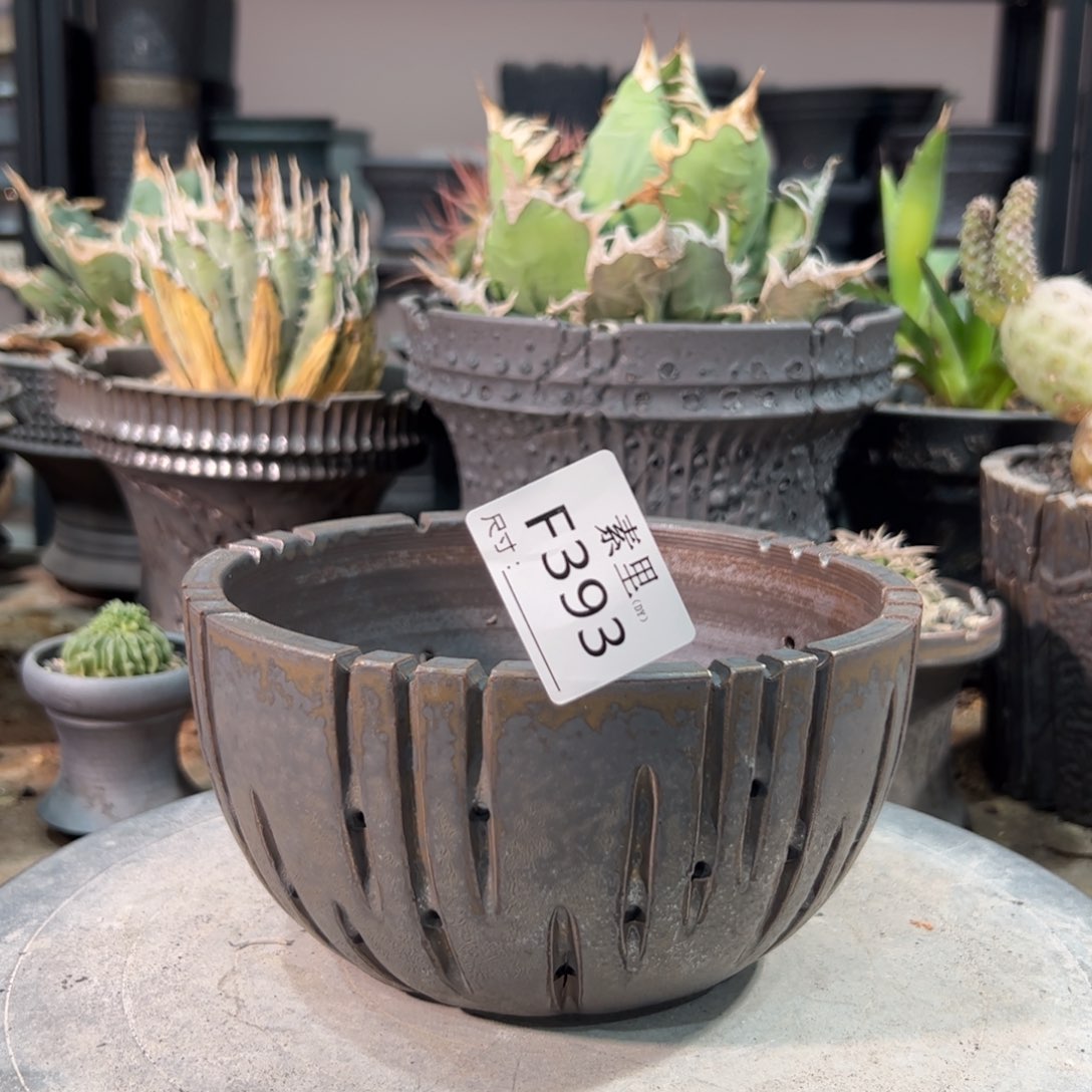 景德镇手工素里包括15.5高9瑕疵