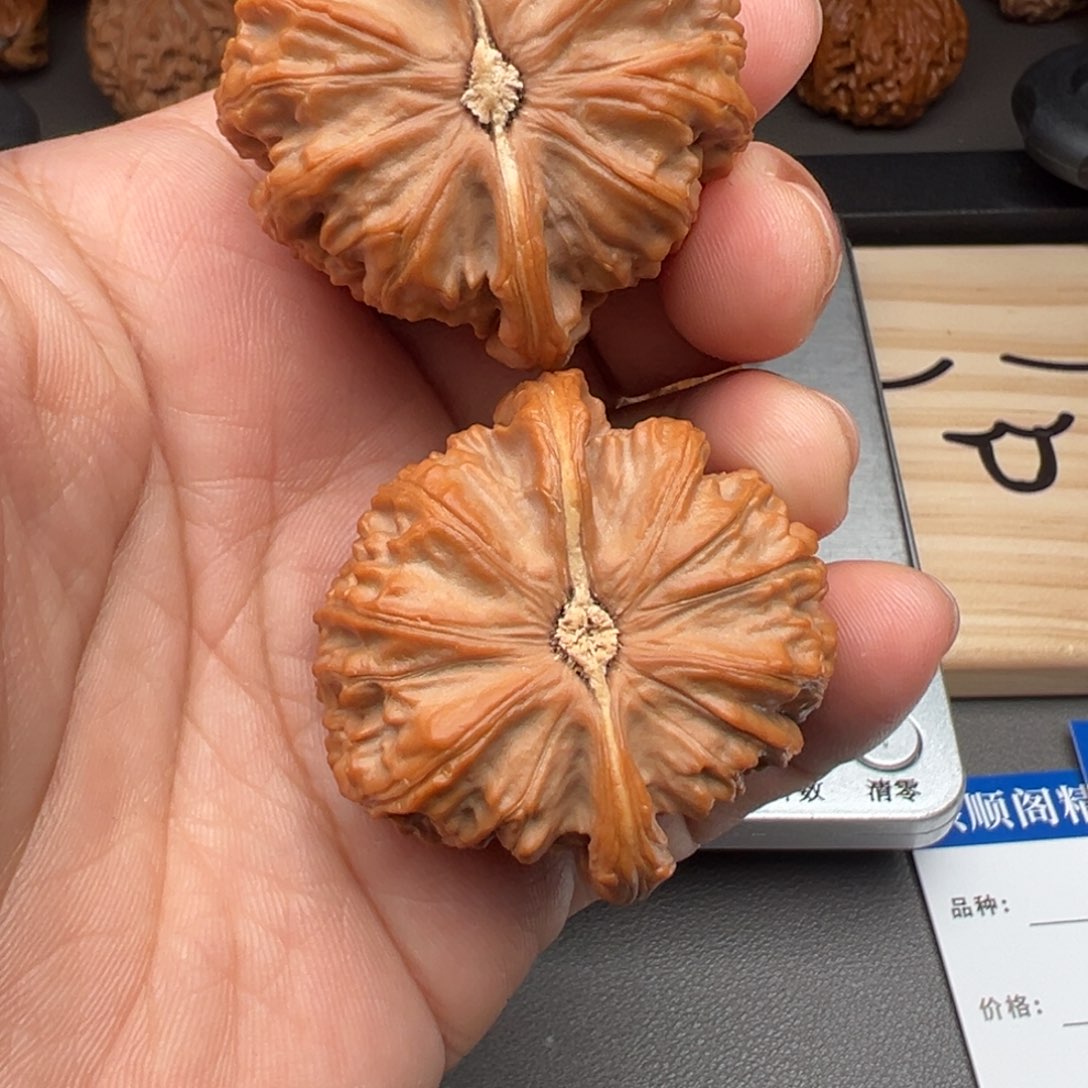 文玩核桃把件彪*三角白