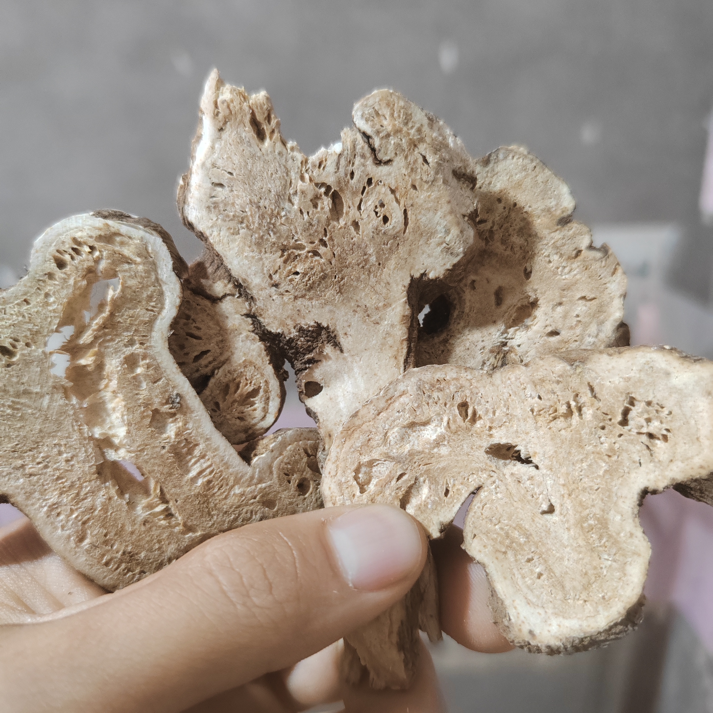 甘肃大山里野外采挖白术片切片250g——500g包邮