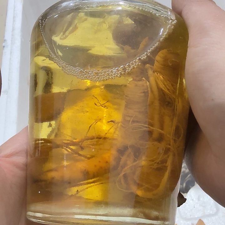 小***毅扇子把h好好保护宝贝宝贝宝贝