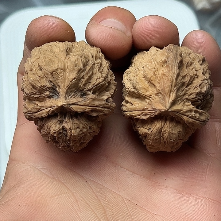 把件文玩核桃58号云铁41尺44克