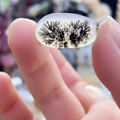 玛瑙/玉髓珠宝奇石未镶嵌