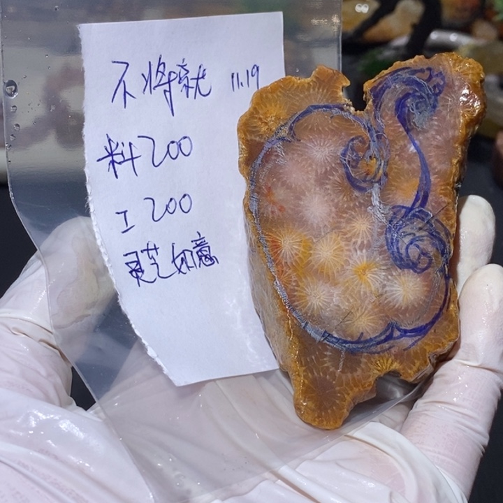 【闪购商品】未镶嵌珊瑚玉硅化玉不**.