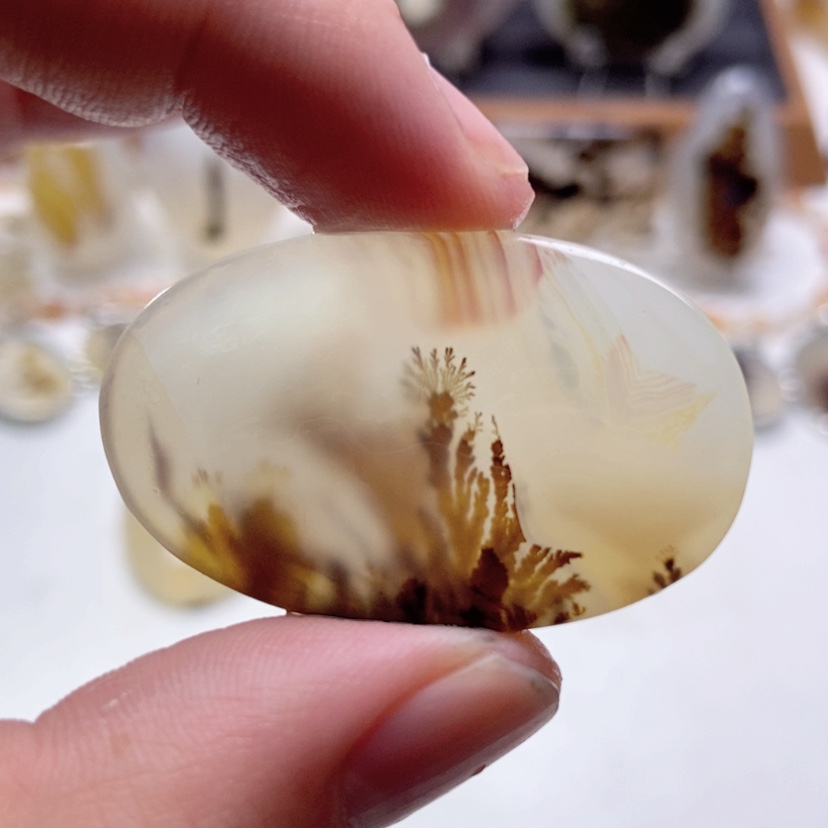 【闪购商品】玛瑙/玉髓颈饰未镶嵌