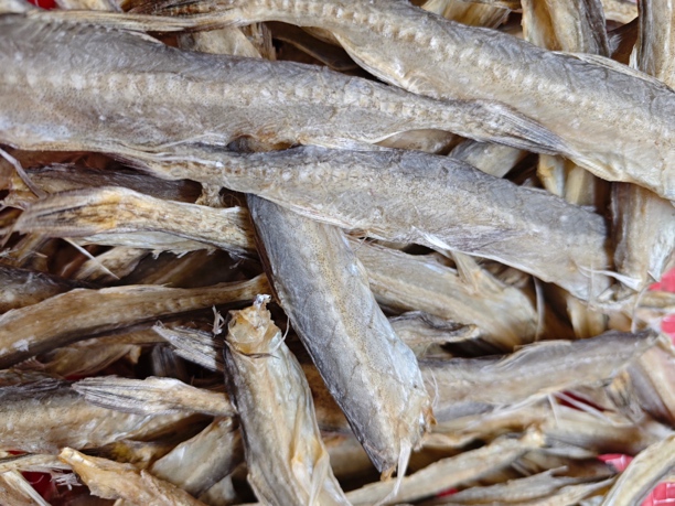 汕尾马宫鱼脯仙鱼脯