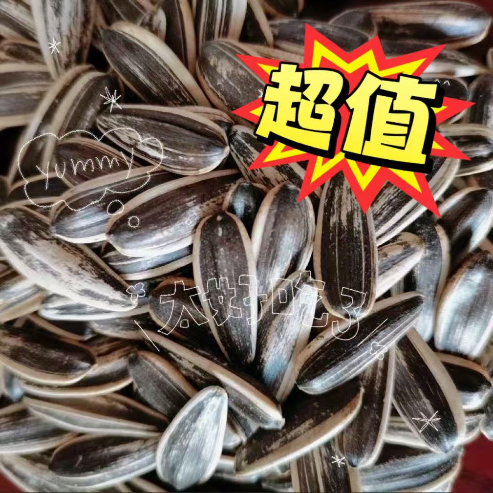 【到手2斤】内蒙产地大颗粒瓜子熟瓜子充饥解馋零食炒货