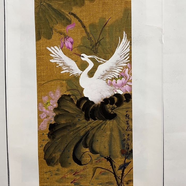 国画花鸟等多种鸟类和鸟类为