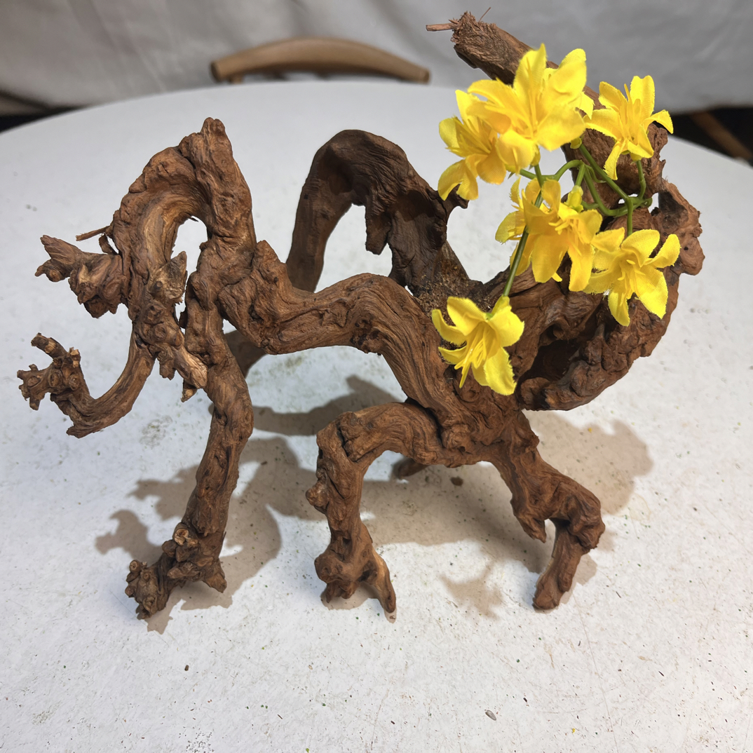 寄居蟹造景沉木尺寸.28.15.19