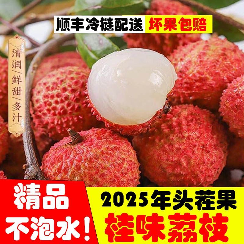 【桂味荔枝】正宗高州根子贡园新鲜桂味荔枝现摘现发头茬新果
