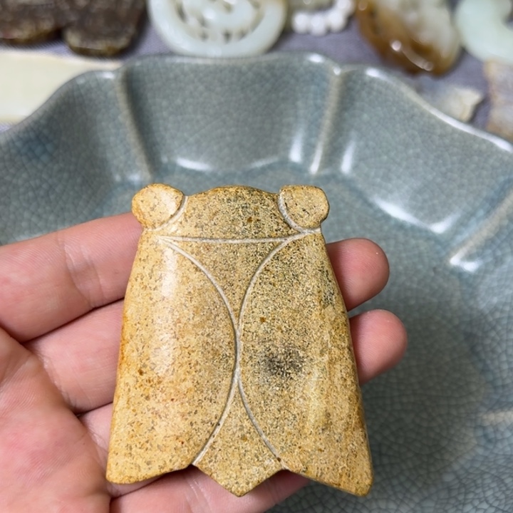 直播放漏专属链接49
