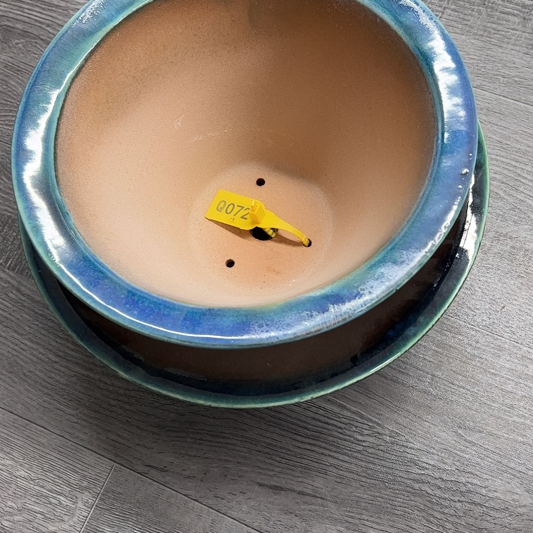 菜***头花盆紫砂Q072号2个瑕疵介意勿拍