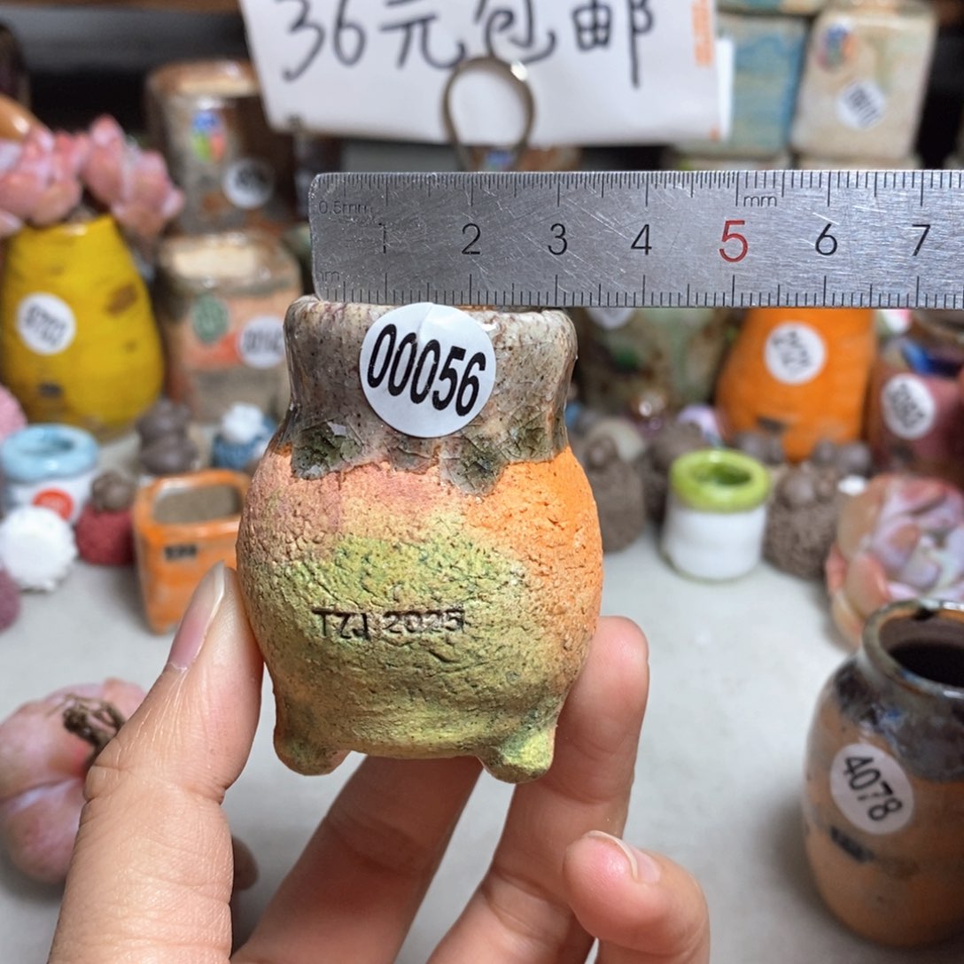 拍5送一个小礼物 