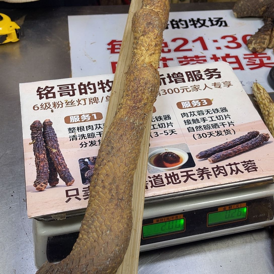 中国大陆2.1斤67厘米