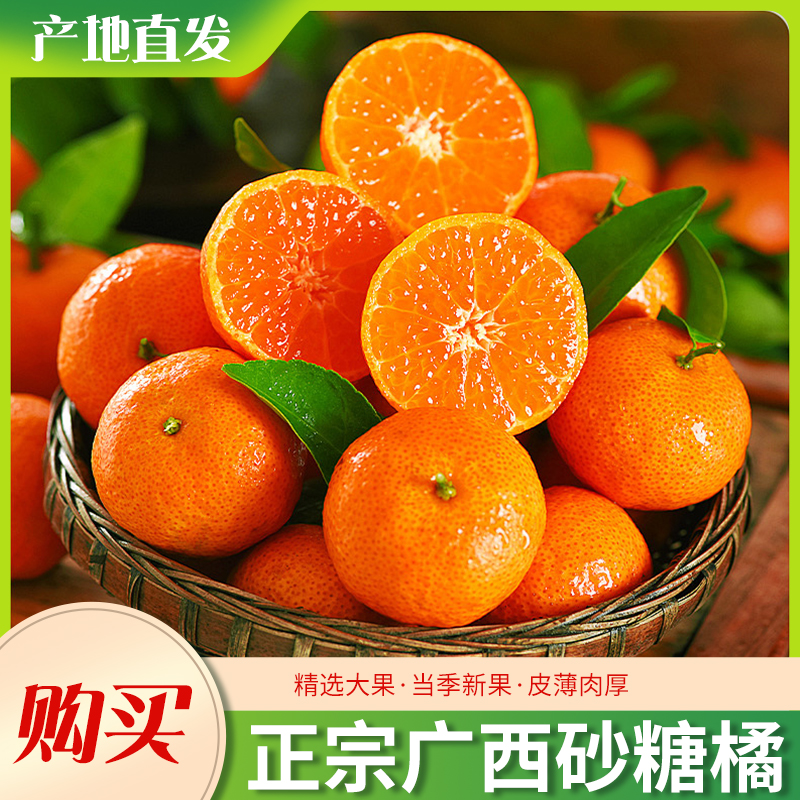 正宗广西砂糖桔 果园现摘现发 薄皮爆甜多汁无渣蜜橘当季新鲜水果