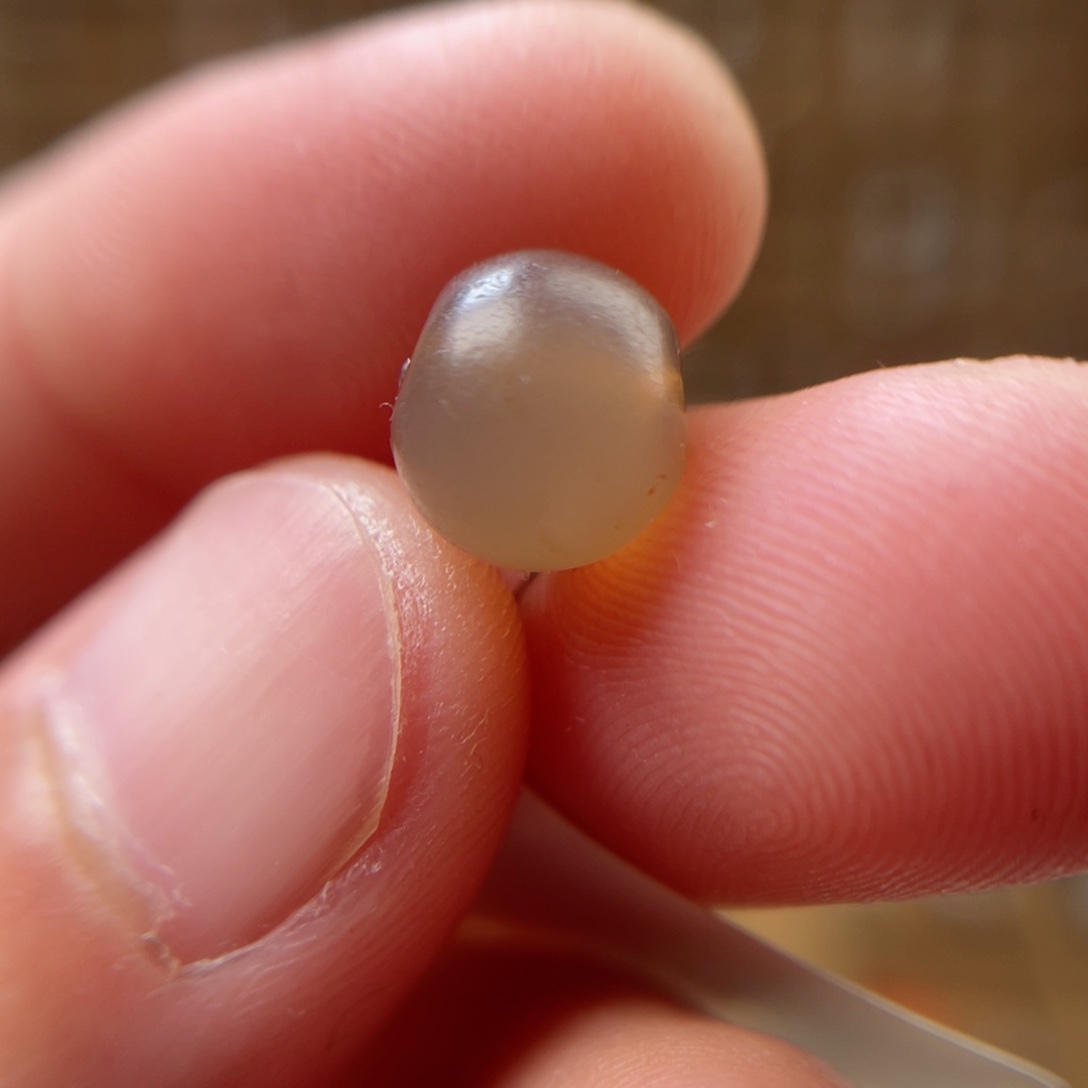 玛瑙/玉髓吊坠(不含链)未镶嵌