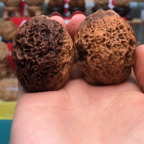 文玩核桃把件云南铁核桃