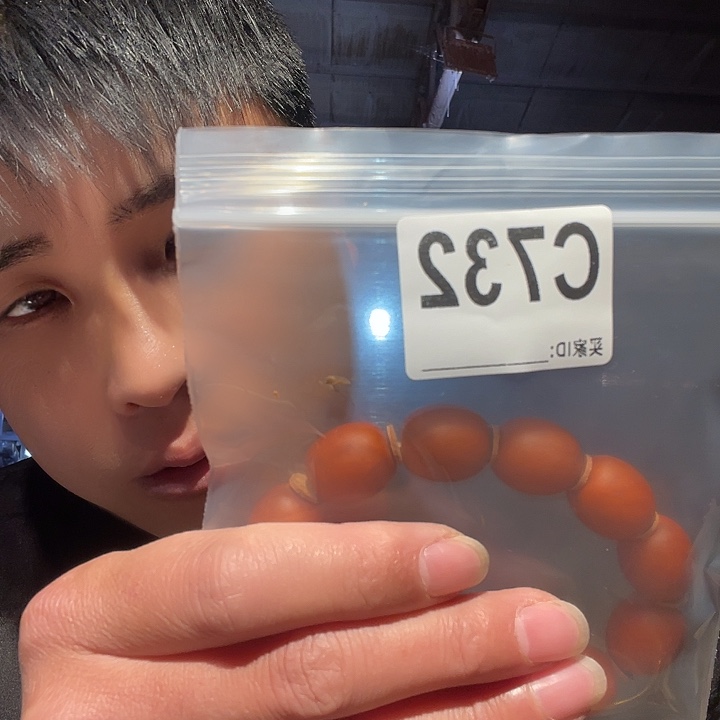 大叶紫檀（黑酸枝木类）732