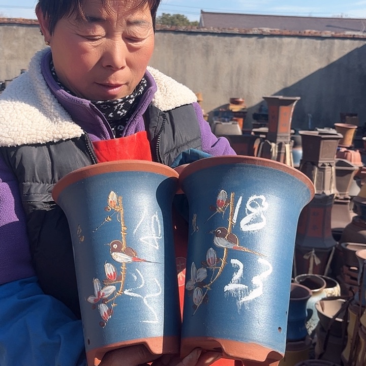 紫砂紫砂花盆盆栽