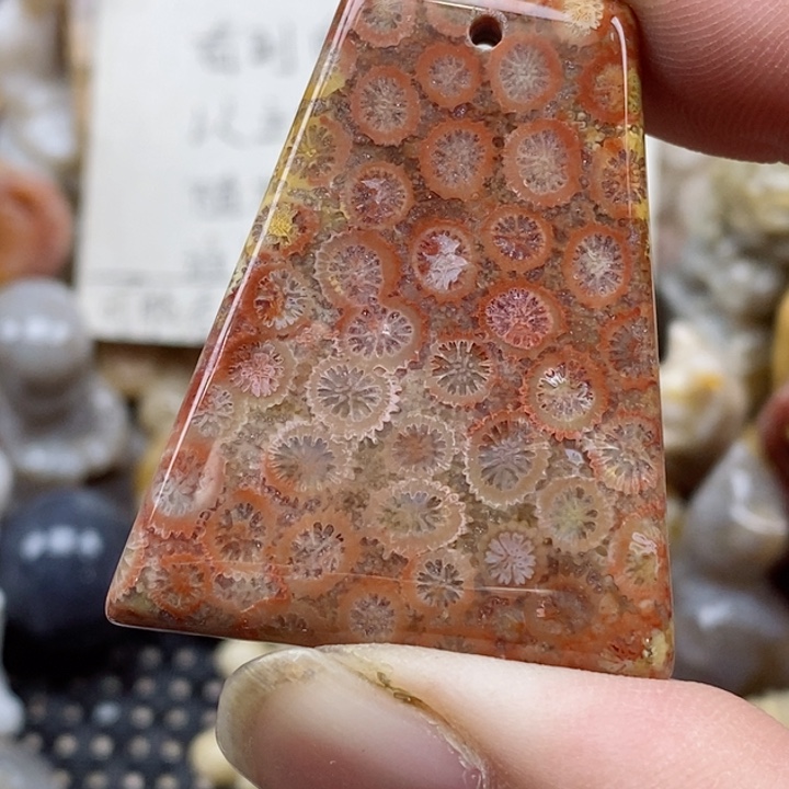 颈饰未镶嵌硅化珊瑚（珊瑚玉）有瑕