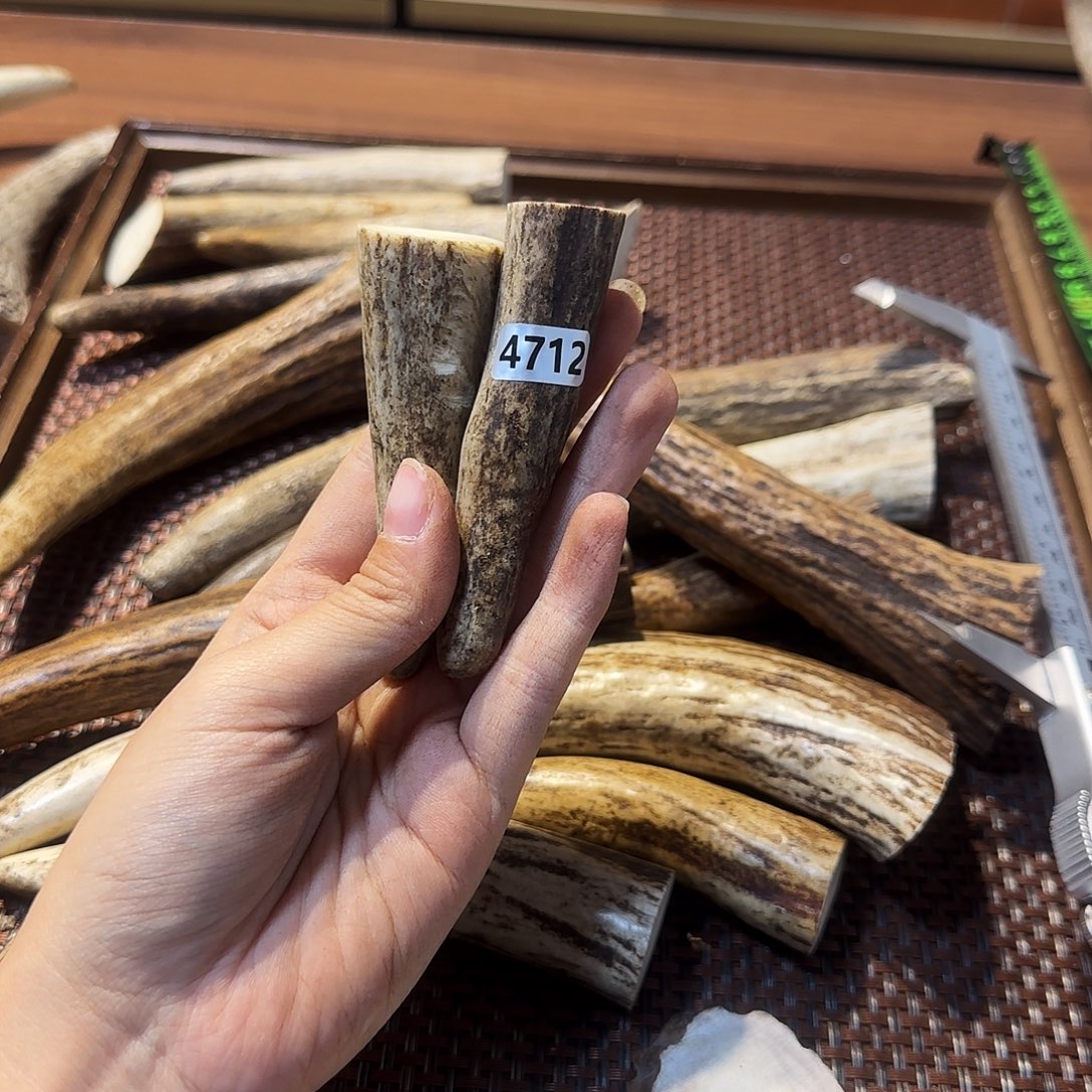 手串/手链鹿骨4712角尖两个