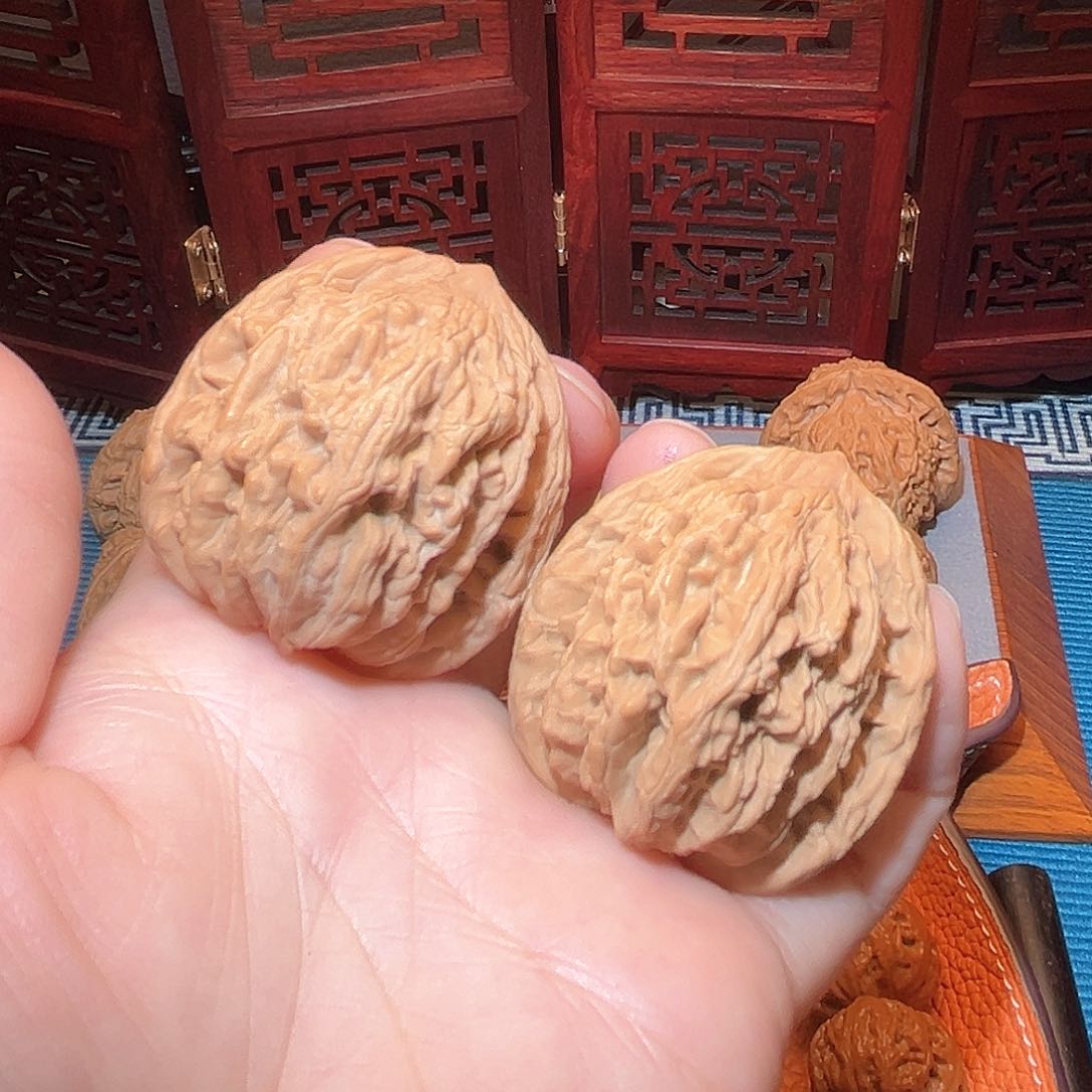 41全品虎头，福利对～