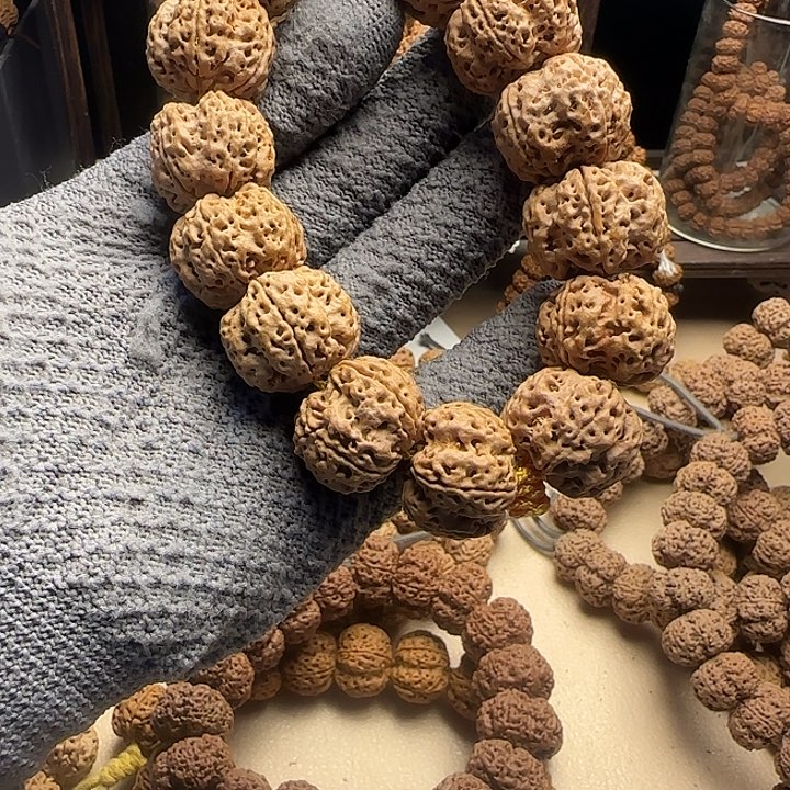 吊坠金刚菩提金刚菩提23龙牙梅花23