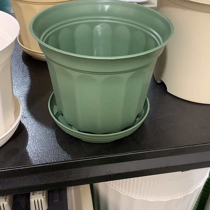 小果汀17口绿5个带托