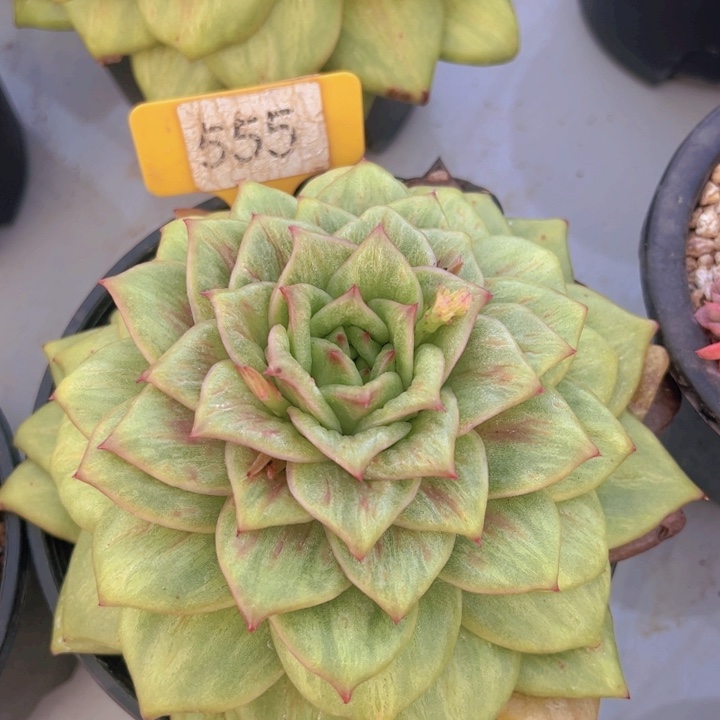 健健康康平平安安