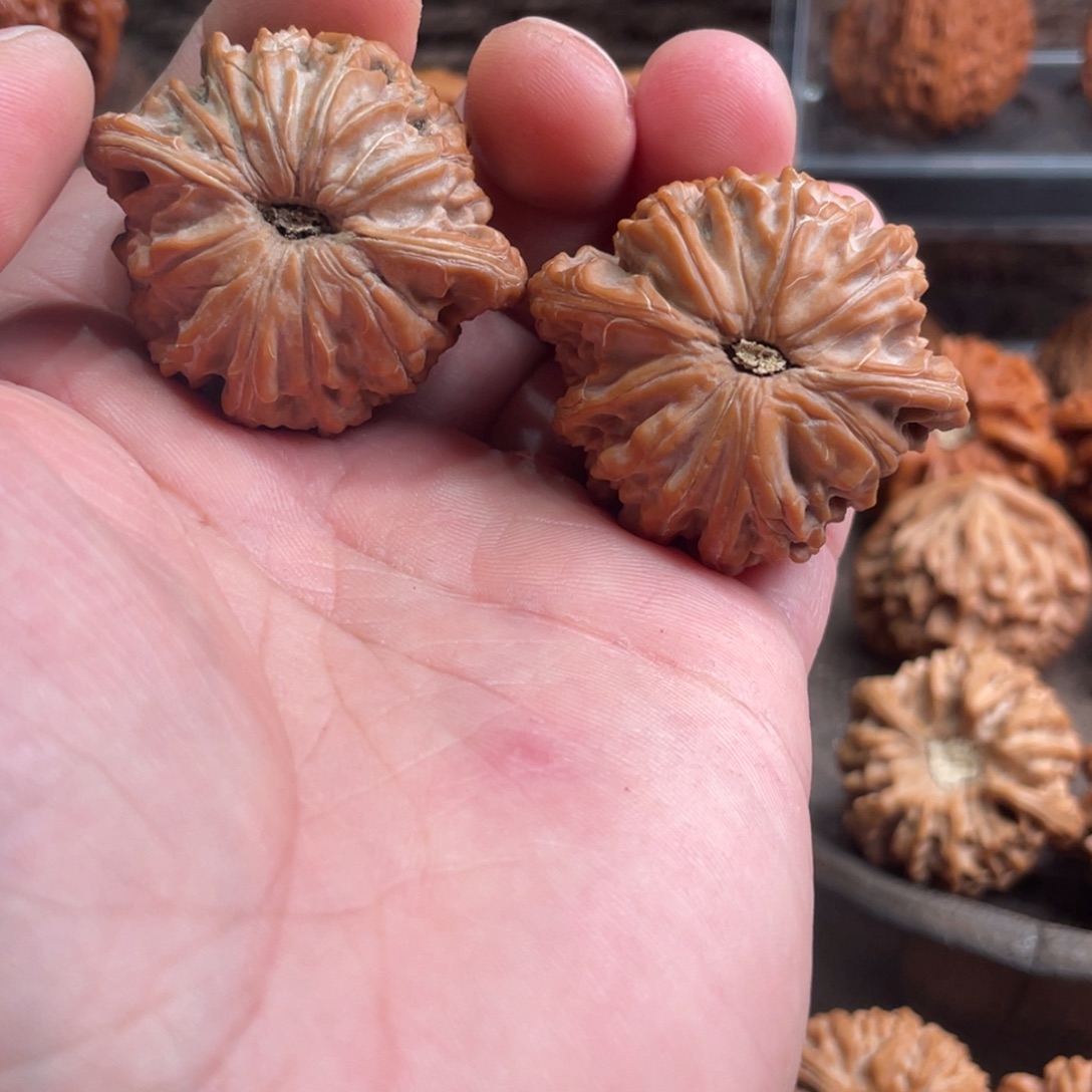 ****g文玩核桃把件42磨盘