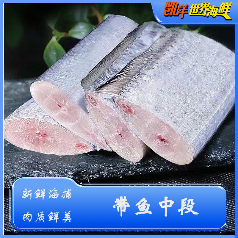 带鱼中段450g/袋 冷冻优质 海捕船冻