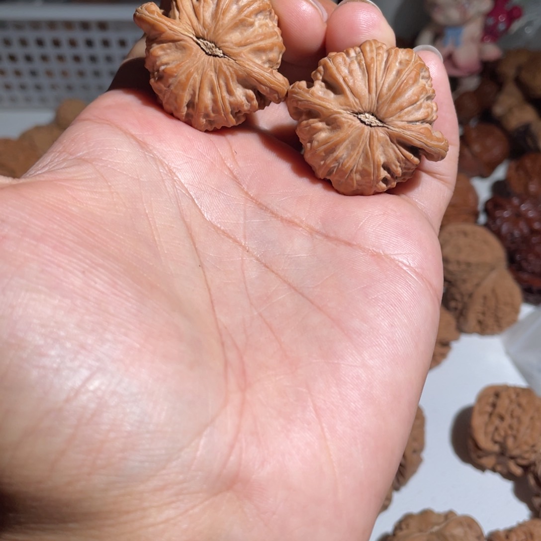 文玩核桃吊坠Y*Y38白狮子