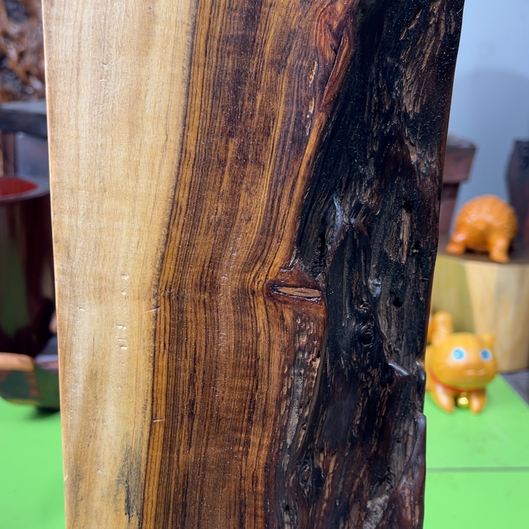 满***）其他大果紫檀（缅甸花梨）