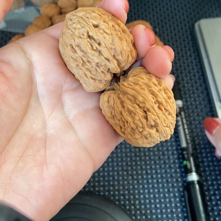 吊坠猴头核桃35凹底