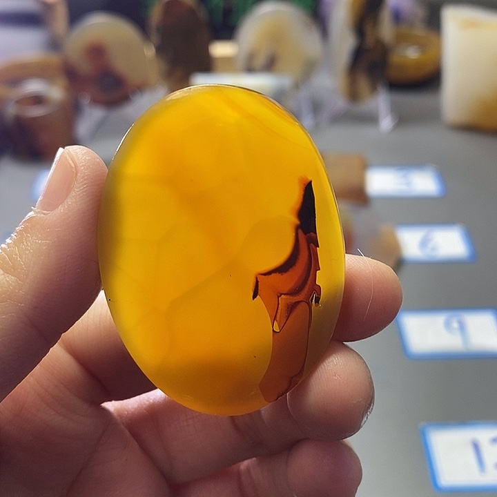 玛瑙/玉髓未镶嵌珠宝半成品231